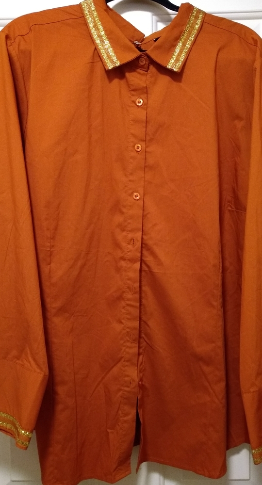 Bold & Gold Detailed, Burnt Orange Button Down Top - Picture 2 of 15
